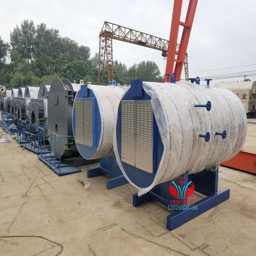 江西電蒸汽鍋爐滅菌柜在羊肚菌滅菌中的應用